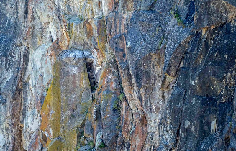 Condor nest