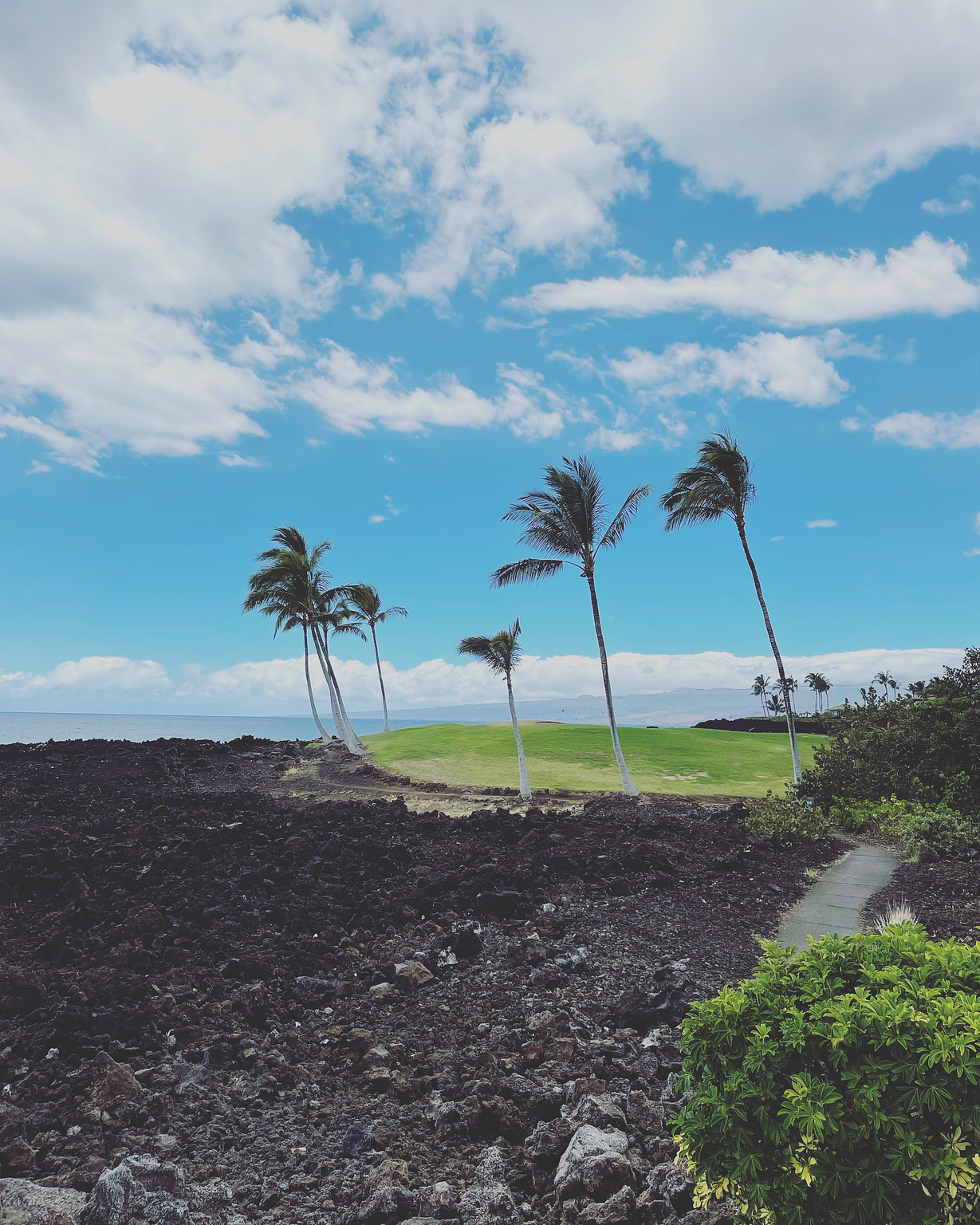 Golf course on the Big Island