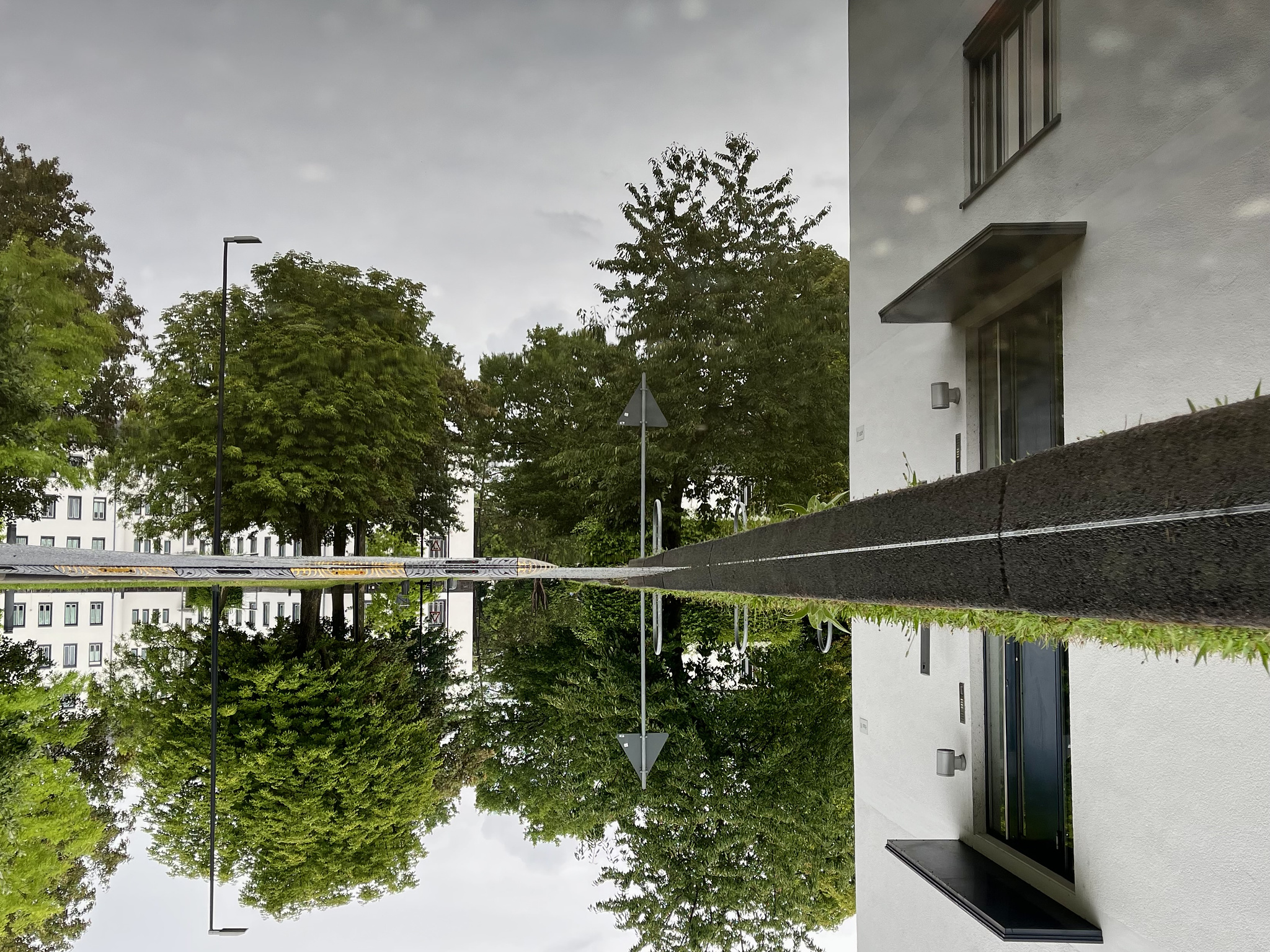 Trees and white buildings, reflected in a puddle. The picture is turned upsidedown.