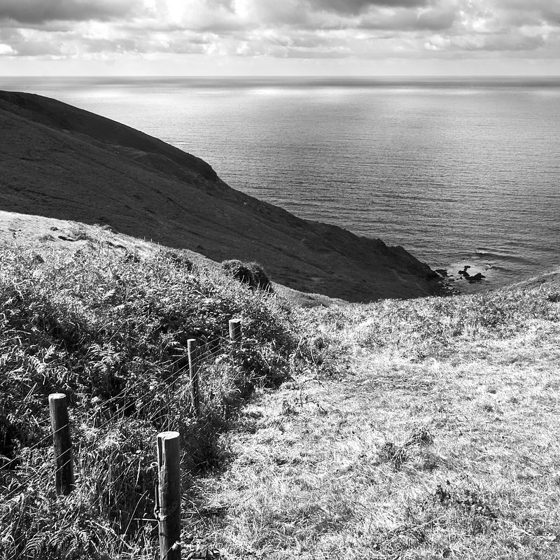 Coastal landscape, black and white, layered from foreground, a cultivated field sloping down from mid-right, an uncultivated headland dropping to meet it from the left and at the centre a dividing stock fence leading the eye to the v shape between them, where another more distant and dark cliff drops down to sea level. A relatively flat and calm sea stretches away beyond that to the horizon, reflecting the bright spots of light coming from between the clouds above.