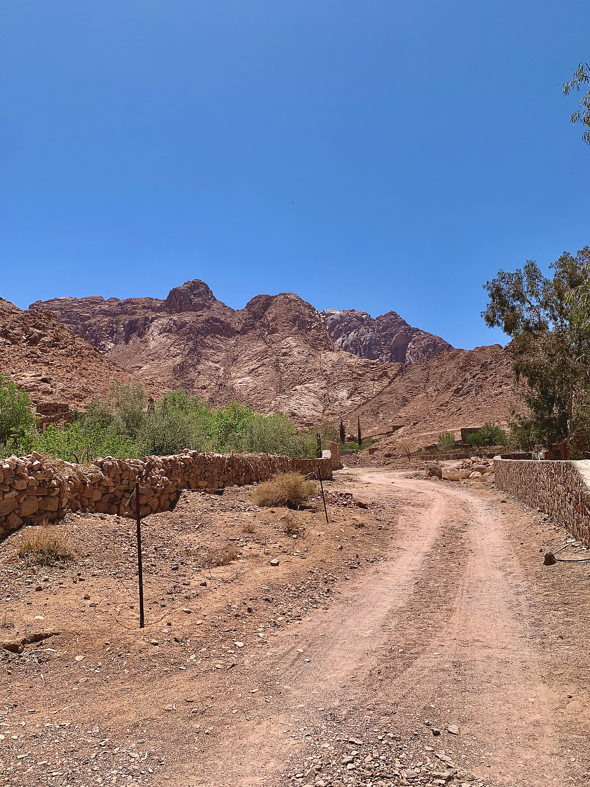 Trail head