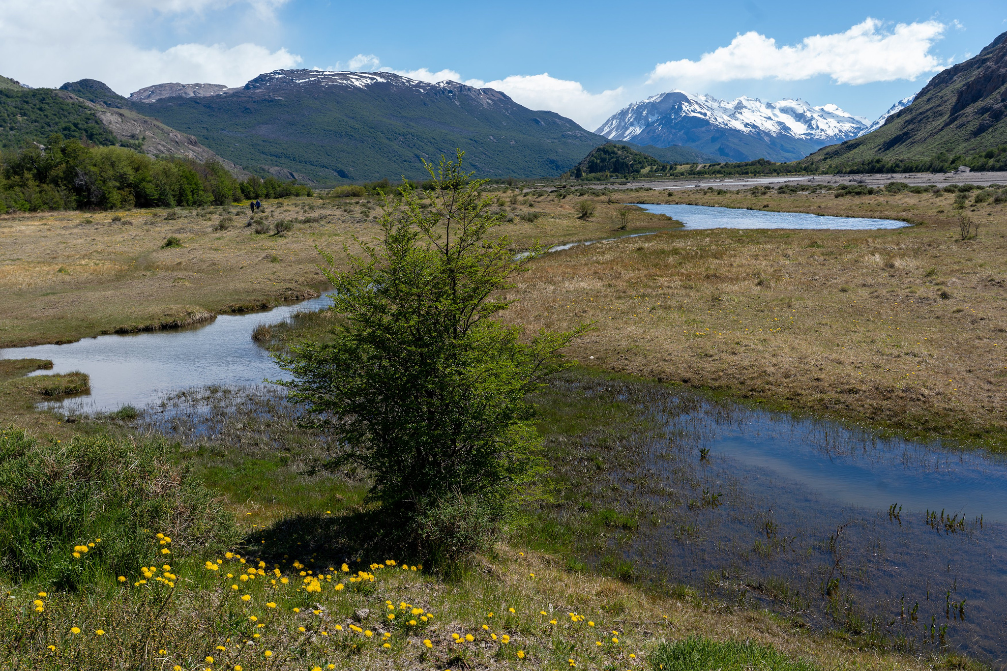 Alongside Rio de las Vueltas