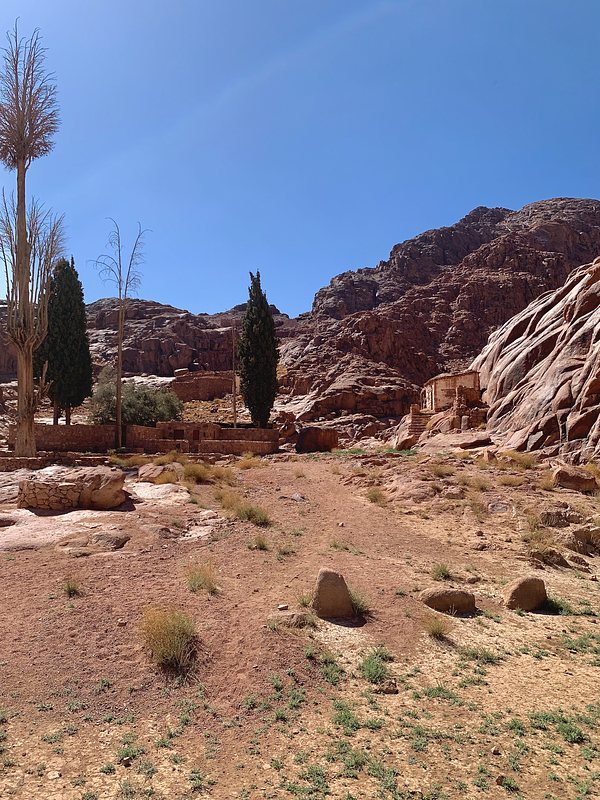 Elijah's garden