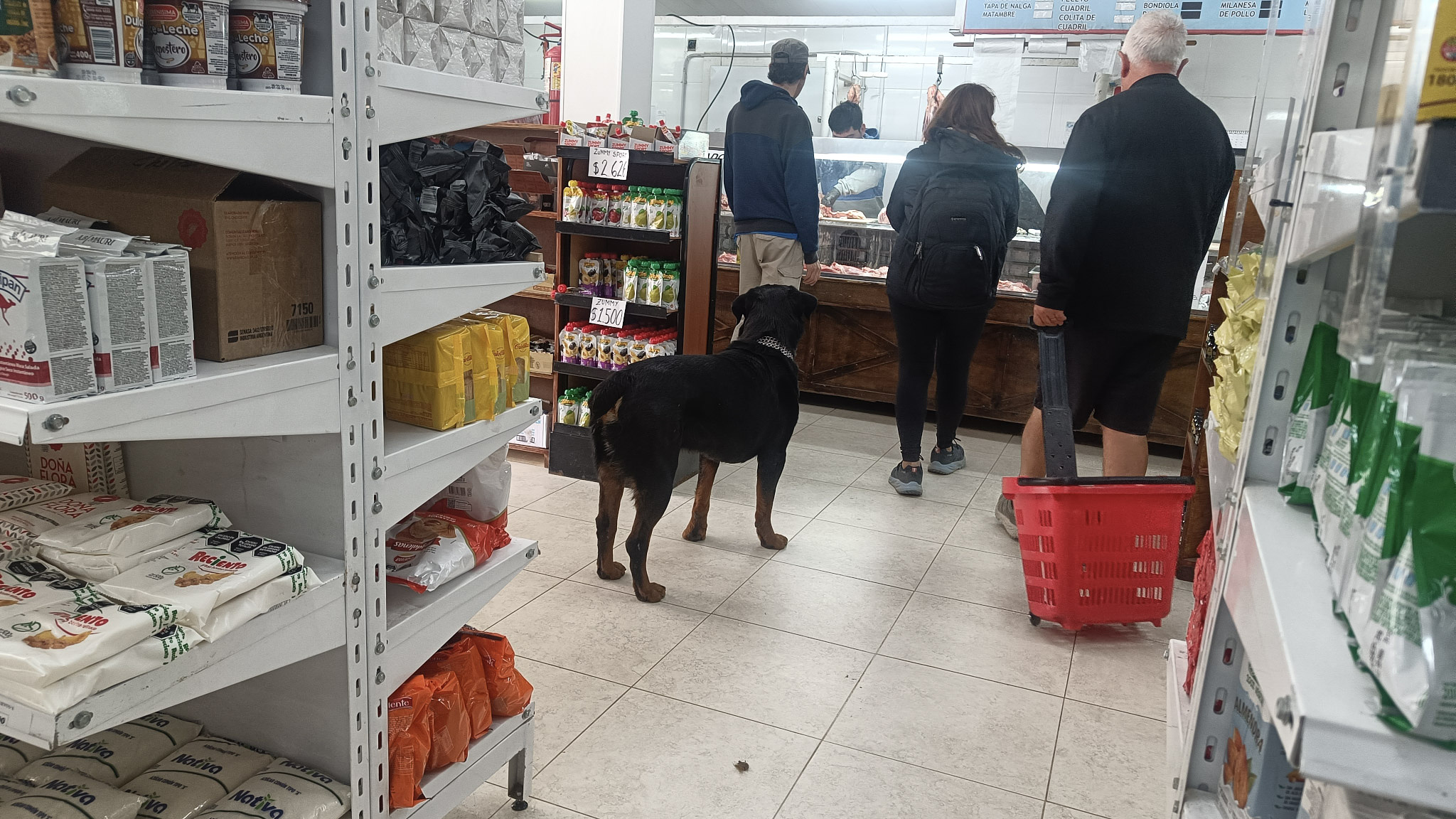 Dog queuing at the meat counter