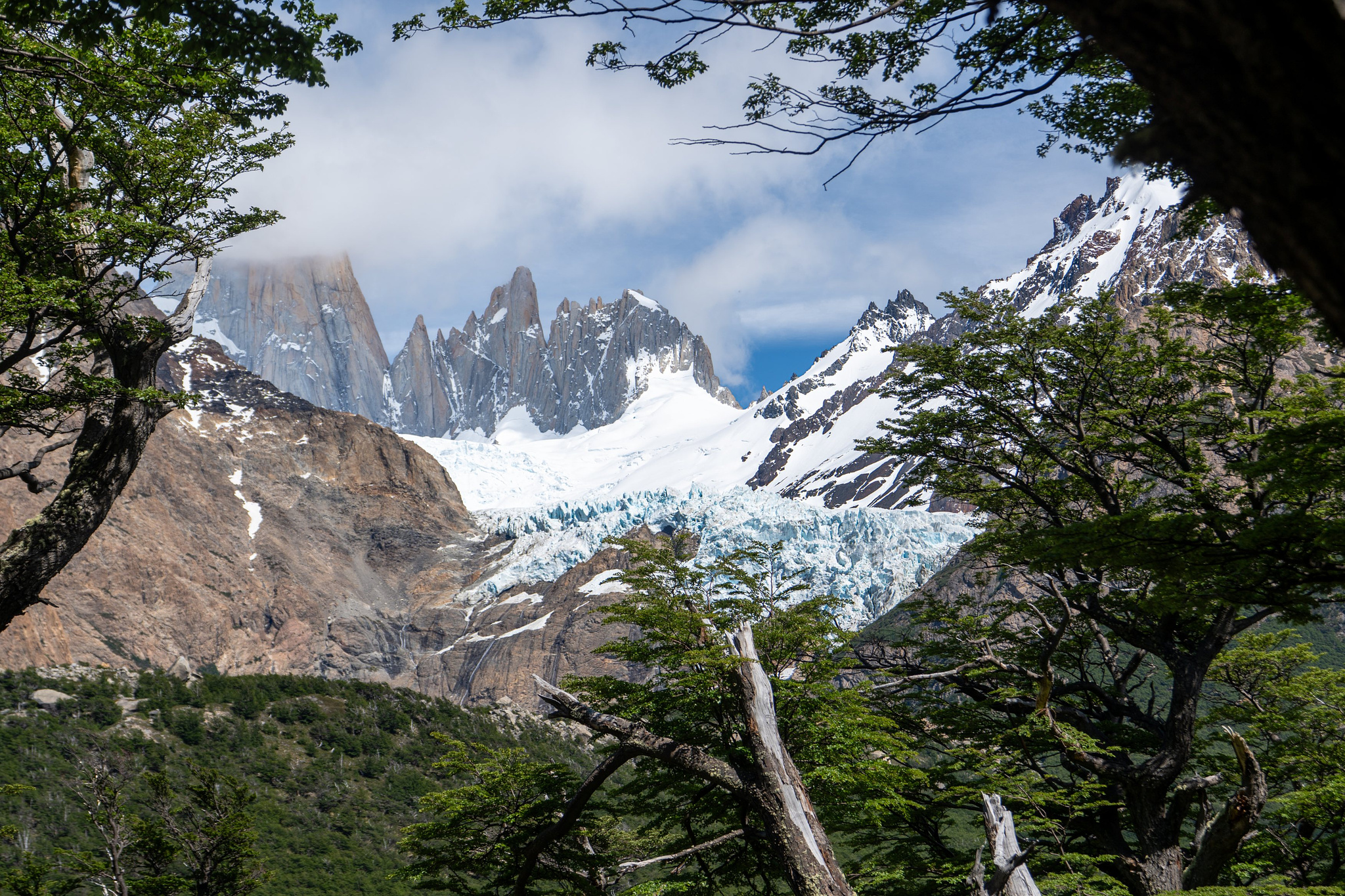 Piedras Blancas Glacier