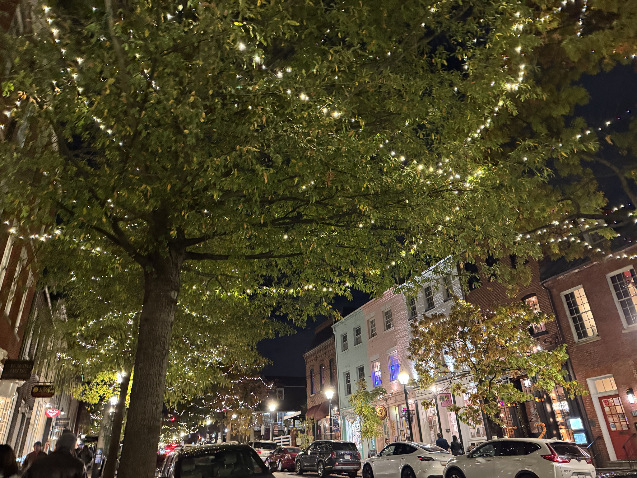 tree-lined street with historic shops and white lights draped through the trees