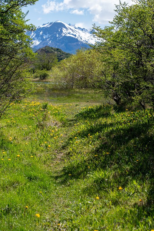 Alongside Rio de las Vueltas
